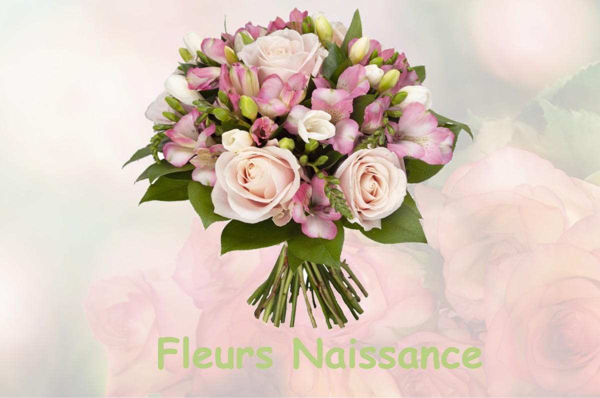 fleurs naissance SAINT-HILAIRE-DE-VILLEFRANCHE